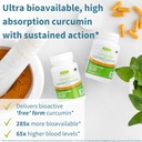 longvida-curcumin-500mg-vesisorb-ubiquin-2.jpg
