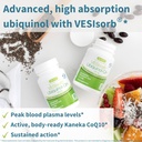longvida-curcumin-500mg-vesisorb-ubiquin-3.jpg