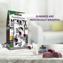 natures-answer-sambucus-mega-gummies-7x--2.jpg
