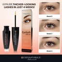 essynaturals-premium-eyelash-growth-seru-2.jpg