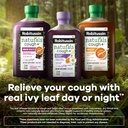 robitussin-naturals-cough-plus-immune-he-4.jpg