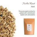 stinging-nettle-root-organic-tea---nettl-3.jpg