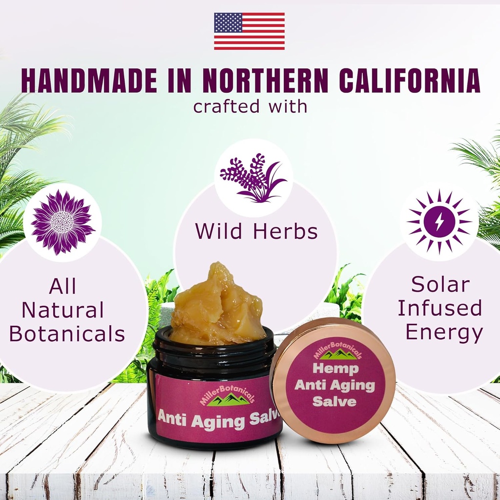 hemp-salve---skin-moisturizer-balm-all-n-3.jpg