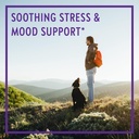 new-chapter-calming-supplement--perfect--2.jpg
