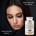 big-eye-lashes-hair-growth---eyelash-gro-3.jpg