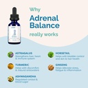 pranapets-adrenal-balance-for-dogs-with--4.jpg