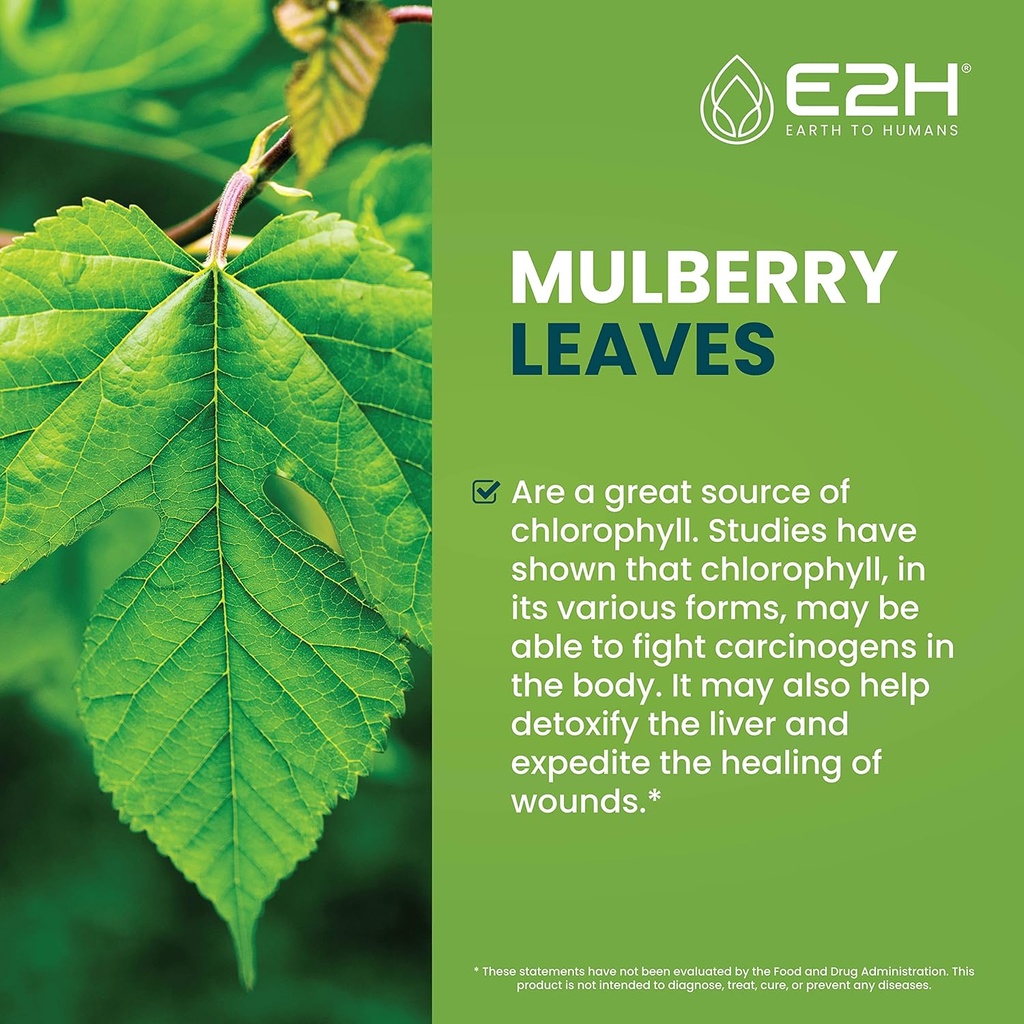 e2h-liquid-chlorophyll-and-natural-black-5.jpg