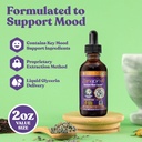 rejuvica-health-zenapin-ir---advanced-mo-6.jpg