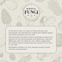 mindful-fungi-lions-mane-cordyceps-mushr-6.jpg
