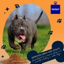 canine-sperm-enhancer-supplement-advance-6.jpg
