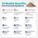 wellnessskin-support-echo-for-doggy---12-2.jpg