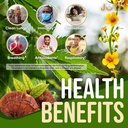 joyli-hemp-gummies---natural-lung-cleans-2.jpg