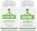 dopamine-support-supplement-paired-with--6.jpg
