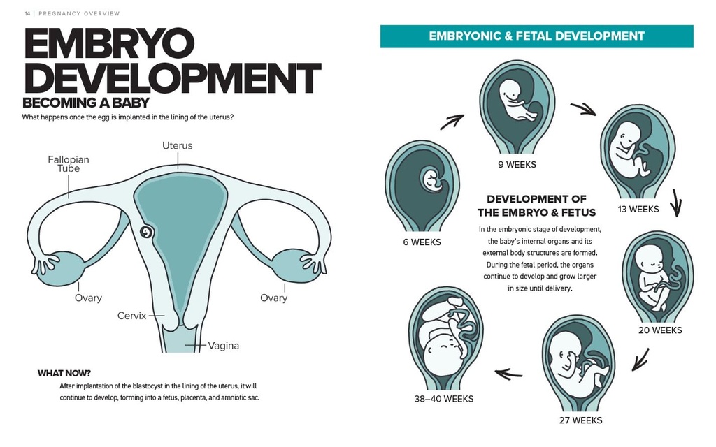 the-simplest-pregnancy-book-in-the-world-6.jpg