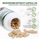 salate-lions-mane-supplement-organic-mus-2.jpg
