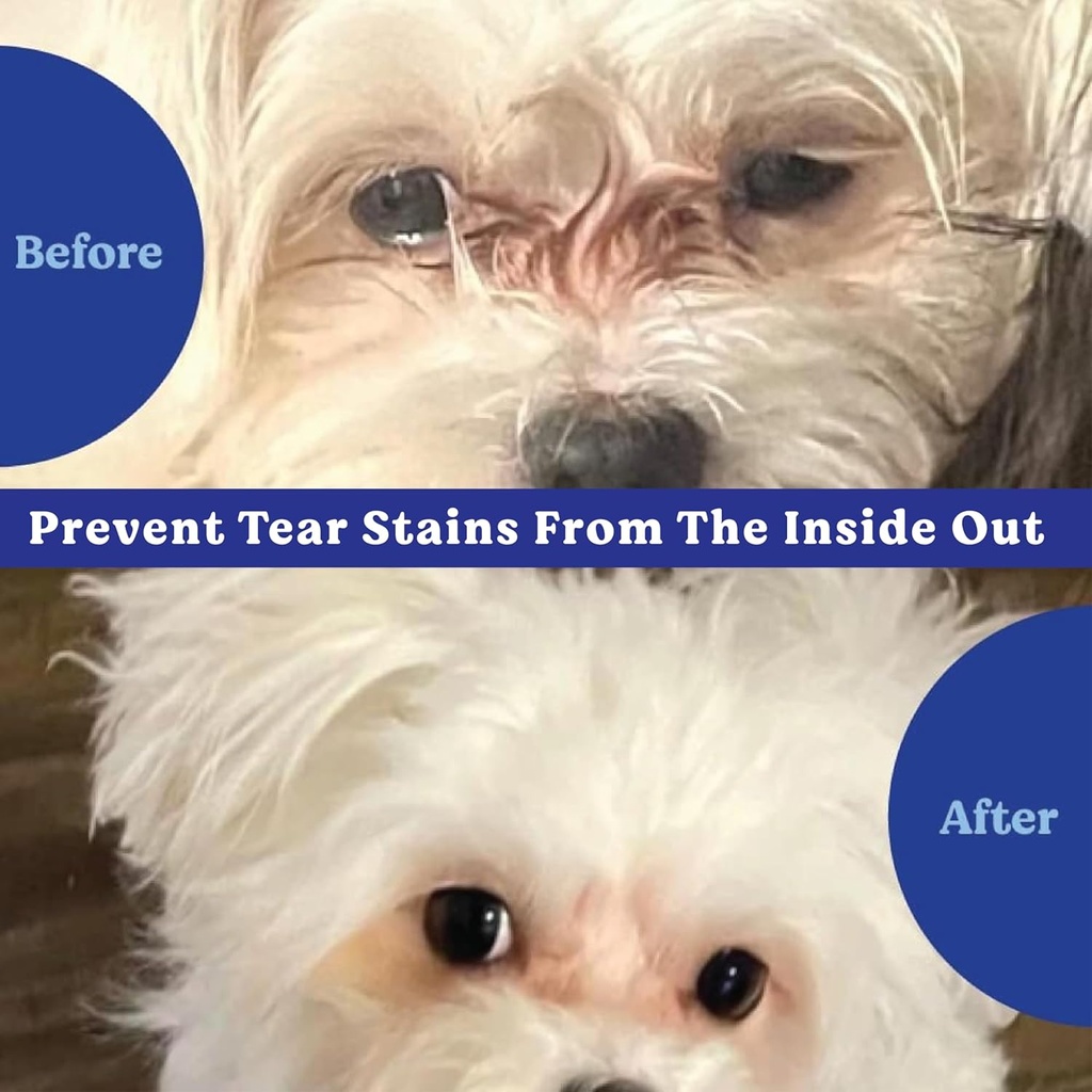 angels-eyes-natural-tear-stain-preventio-2.jpg