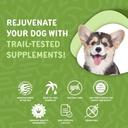 waggedy-daily-essentials-puppy-full-spec-6.jpg