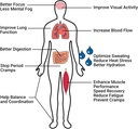 krampade-electrolytes-powder-potassium-s-3.jpg