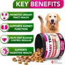dog-uti-treatment---cranberry-supplement-2.jpg
