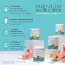 one-sol-pre-workout-for-women-enhanced-p-4.jpg