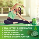 wogorgt-soursop-graviola-gummies---sours-4.jpg