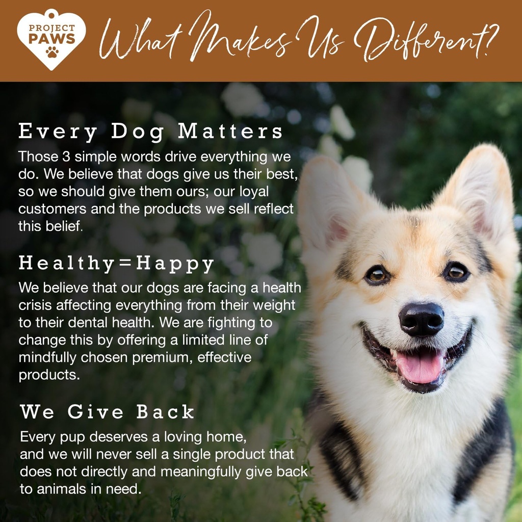 bone-broth-for-dogs-with-powdered-elk-an-6.jpg