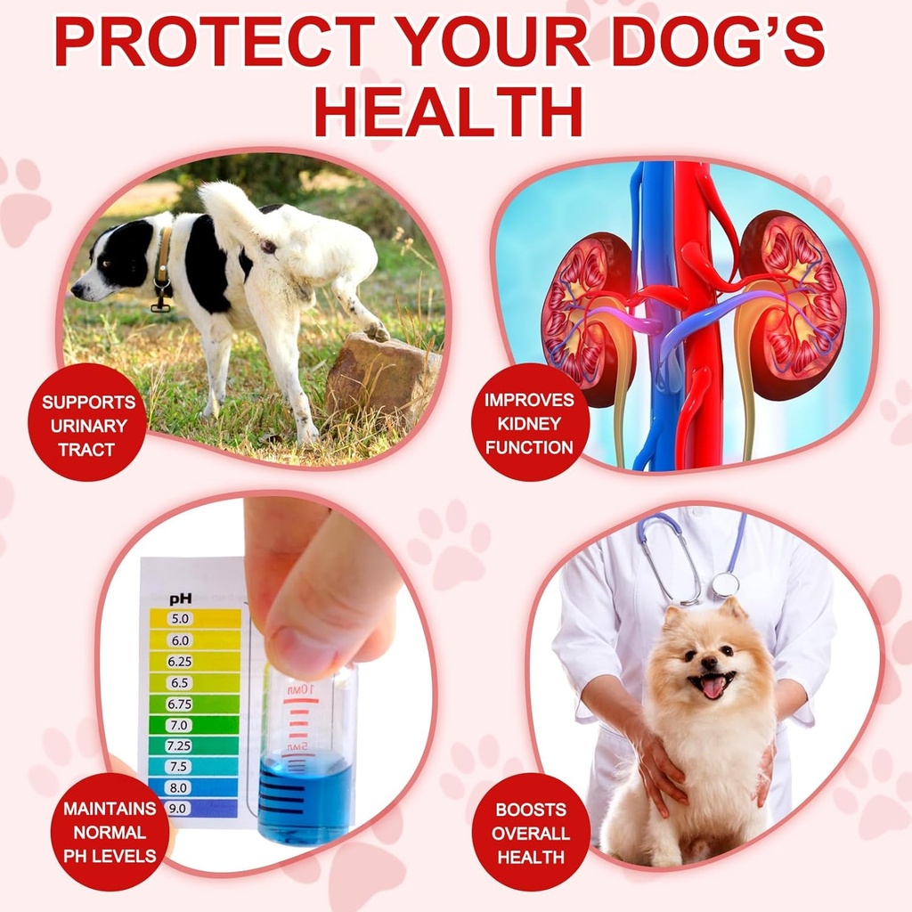 cranberry-for-dogs-180p-cranberry-urinar-3.jpg