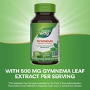 natures-way-gymnema-premium-extract-supp-4.jpg