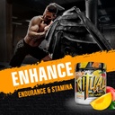 ans-performance-ritual-pre-workout-30-se-4.jpg