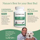 5-defenders-mushroom-supplement-for-cats-3.jpg