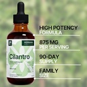 cilantro-leaf-4-fl-oz-liquid-extract---o-3.jpg