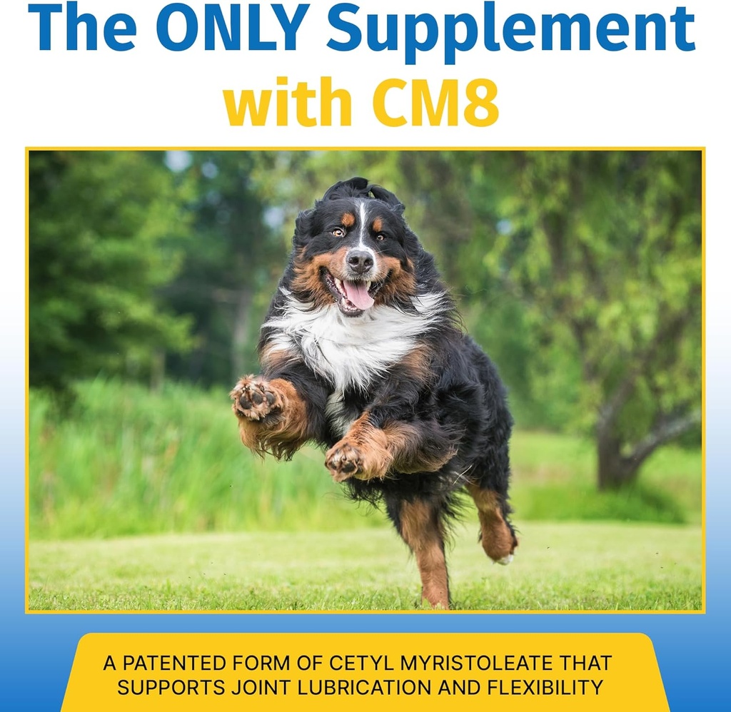 hip-joint-supplement-for-dogs-cats-with--3.jpg