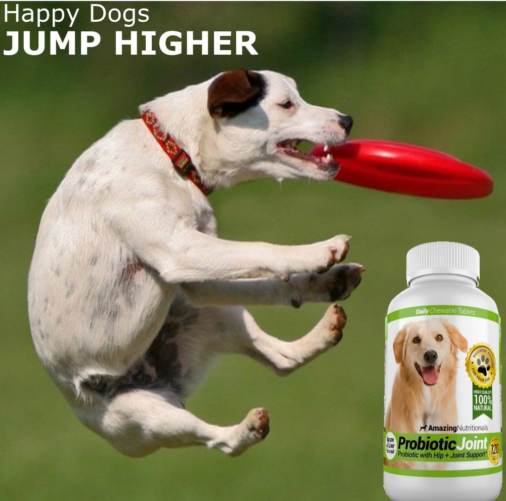amazing-probiotics-for-dogs-eliminates-d-3.jpg