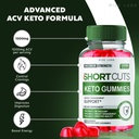 rize-labs-shortcuts-keto-gummies-for-adv-2.jpg