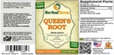 queens-root-stillingia-sylvatica-tinctur-2.jpg