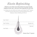 nulastin-follicle-fortifying-lash-serum--6.jpg