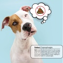 nixit-stool-eating-preventative-for-dogs-2.jpg
