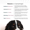 nixit-stool-eating-preventative-for-dogs-5.jpg