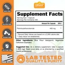 palmitoylethanolamide-capsules-pea-400mg-6.jpg