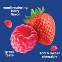wellyeah-prebiotic-fiber-gummies-for-adu-6.jpg