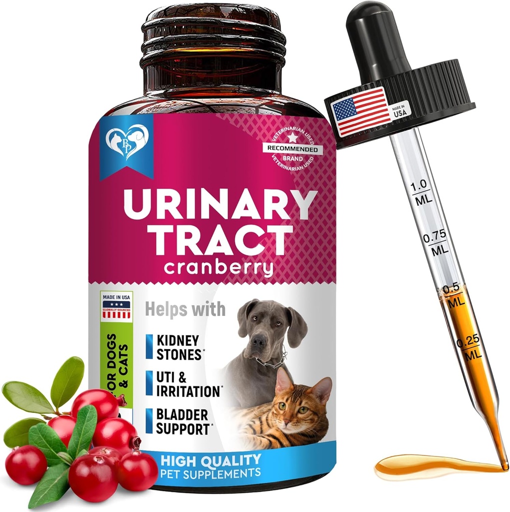 cat-dog-urinary-tract-infection-treatmen-4.jpg