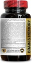 brain-memory-supplements---support-focus-5.jpg