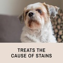 eye-envy-tear-stain-remover-solution-for-4.jpg