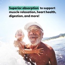 lively-vitamin-co-magnesium-ease---chela-5.jpg