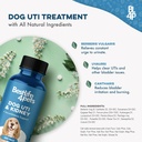 dog-uti-and-kidney-support-natural-incon-2.jpg