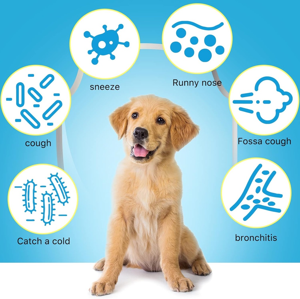 kennel-cough-treatment-for-dogs-dog-kenn-3.jpg