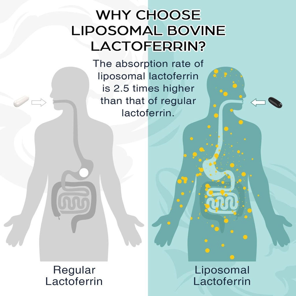 liposomal-lactoferrin-1000-mg-diet---max-2.jpg