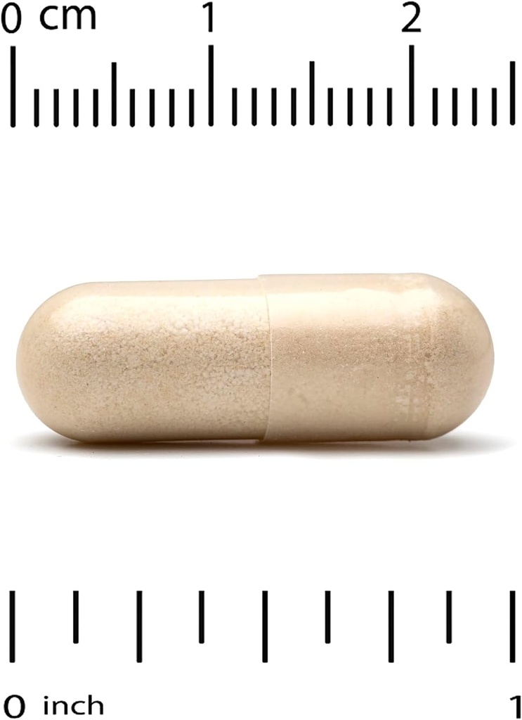 california-gold-nutrition-reishi-ganoder-3.jpg