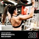 kenko-essentials-k-builderpremium-protei-3.jpg