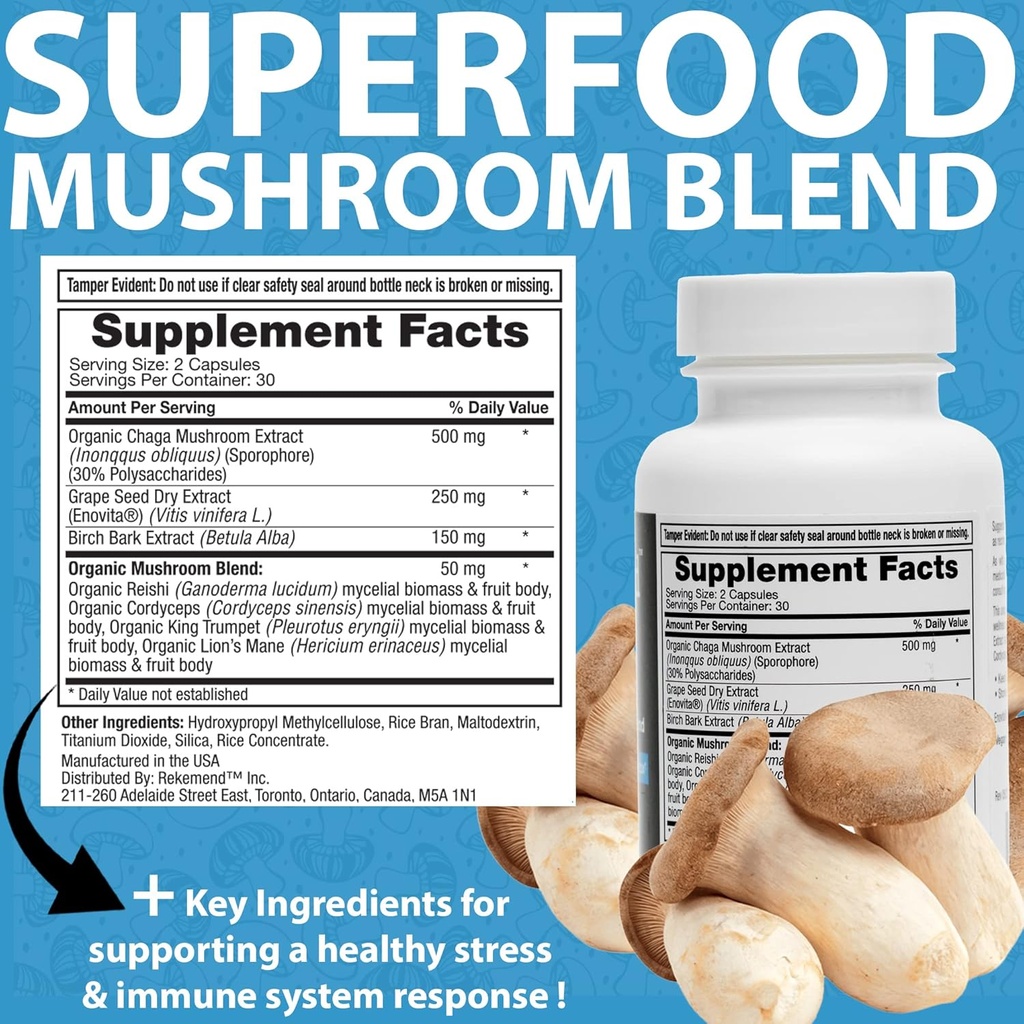 lions-mane-supplement-with-cordyceps-cha-6.jpg